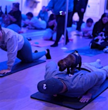 PUPPY YOGA | 12 S Ocean Ave