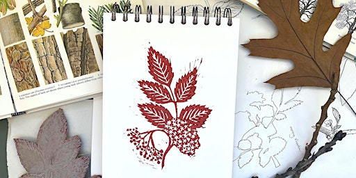 Explore Trees Through Print - Beech | Bagshaw Museum