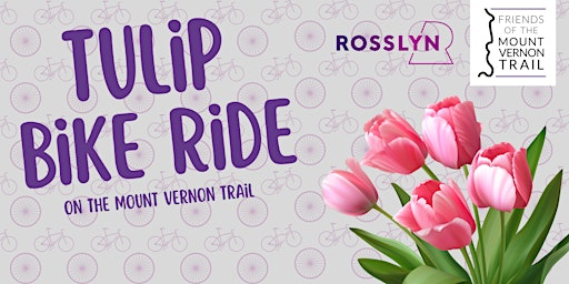Tulip Ride on the Mount Vernon Trail | Compass Coffee