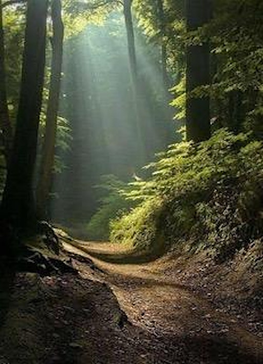 Natural & Conservation Burial: A Living Legacy | Broad View United