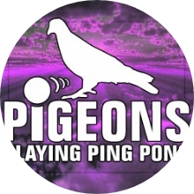 Pigeons Playing Ping Pong Charleston Concert Tour 2026｜June 24 | The Charleston Music Hall