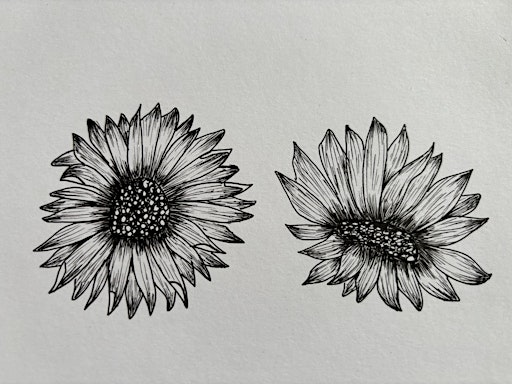 NEW! Learn How to Draw Autumn Botanicals –October -Four-Session Course | Shrewsbury Library