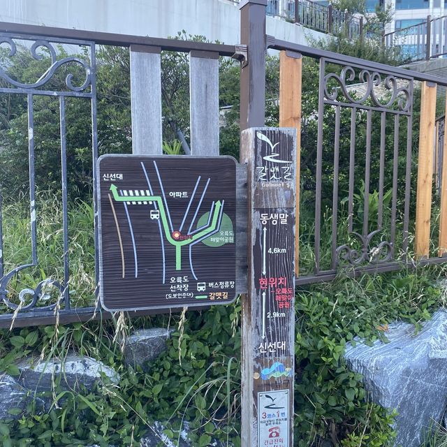 부산 오륙도 완전 예뻐🥺