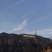 HollyWood 사인을 볼 수 있는 LA