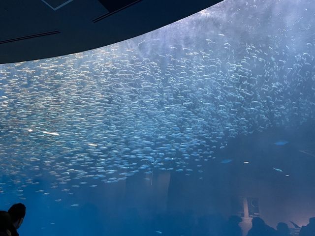 名古屋の水族館といえばココ🐠！【名古屋港水族館】