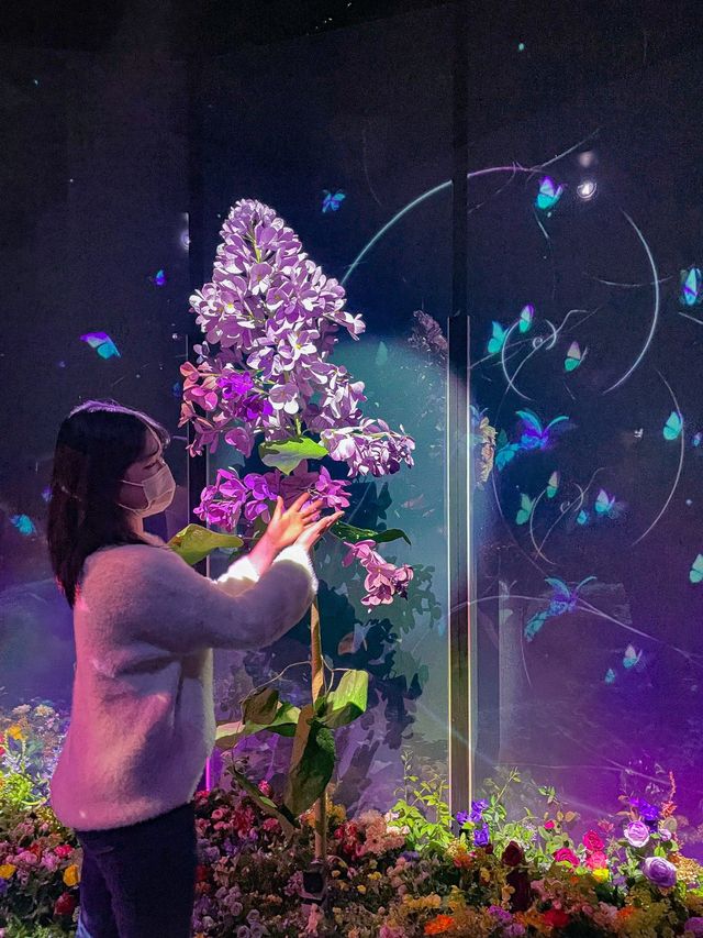 서울 인생샷 찍기 좋은 전시회🌷