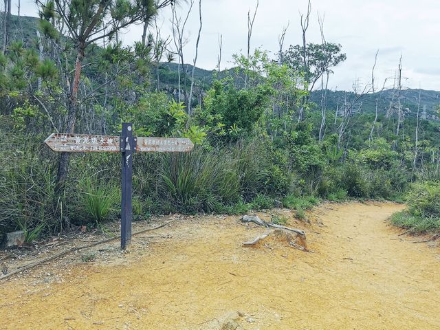 黃泥墩水塘