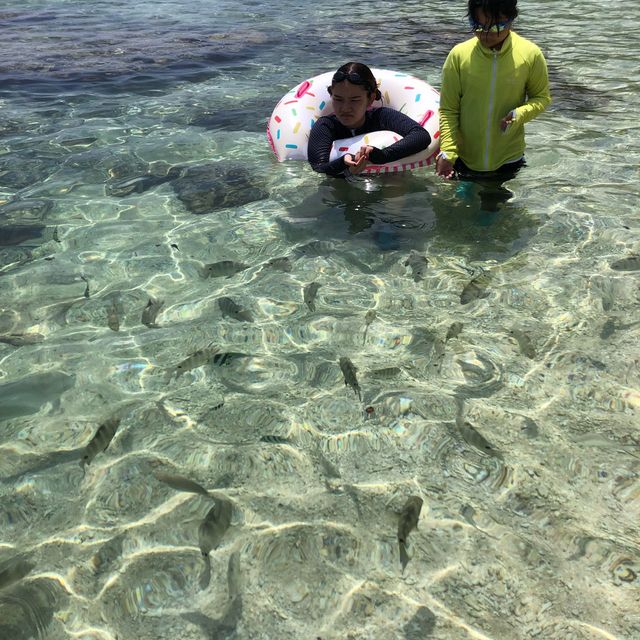日本で1番　海がきれいな宮古島