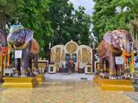 วันพระธาตุดอยคำ