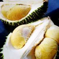 One Of The Best Durian In KL