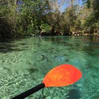 Crystal River at Weeki Wachee Springs