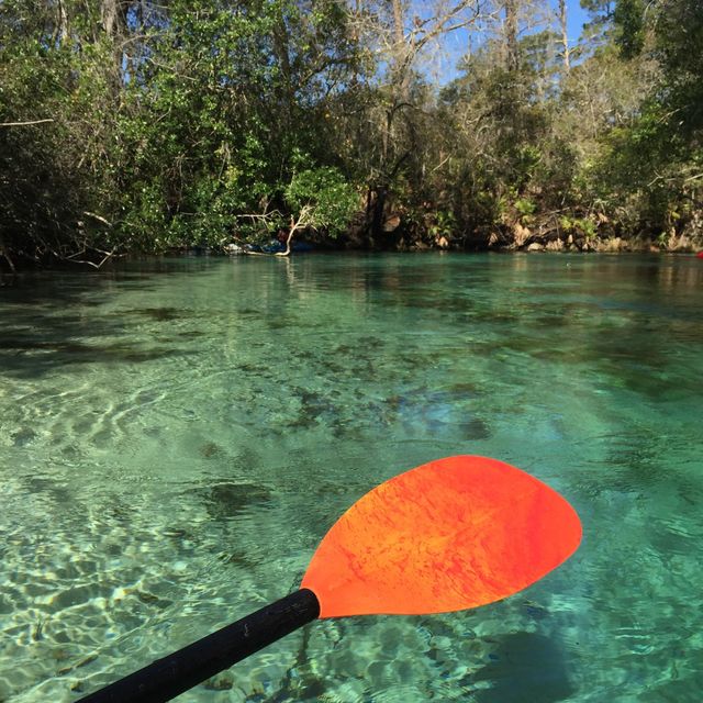 Crystal River at Weeki Wachee Springs