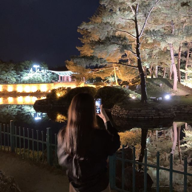 경주의 무릉도원 안압지 야간 피크닉