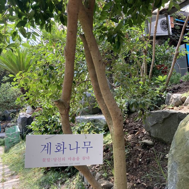 보령 개화 예술공원