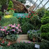 Christmas @ Flower Dome