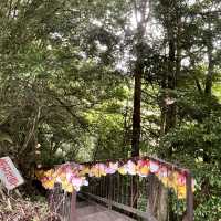 【熊本】夫婦滝