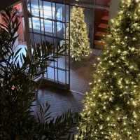 독특한 건물 구조가 크리스마스 트리를 더 특별하게 보이게 하는 곳 🎄