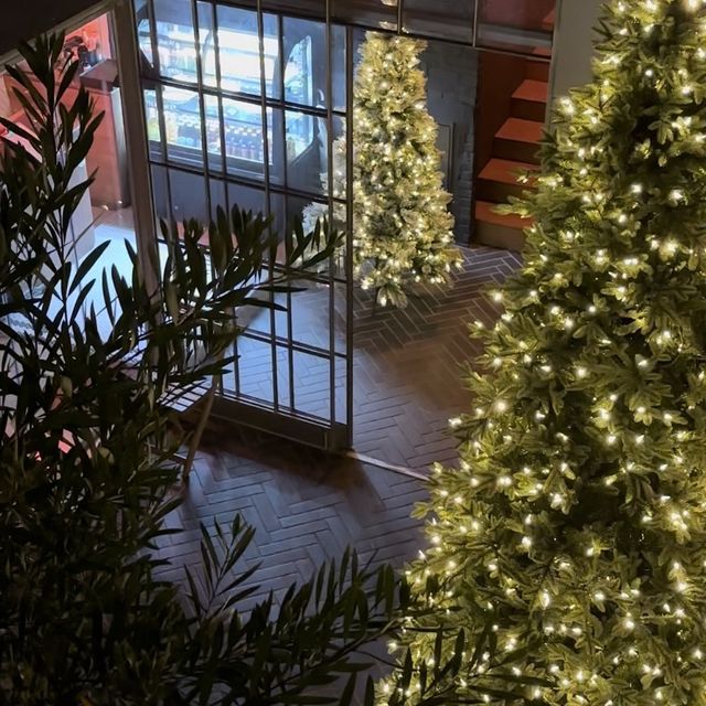 독특한 건물 구조가 크리스마스 트리를 더 특별하게 보이게 하는 곳 🎄