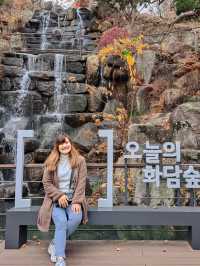 Hwadam Botanic Garden at South Korea 🇰🇷