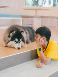 Husky House Cafe ชลบุรี