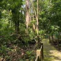 Thomson Nature Park