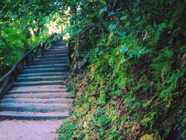 น้ำตกแจ้ซ้อน 🏞