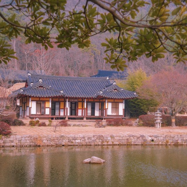 알쓸신잡2 진도 여행의 그 곳, 운림산방☁️