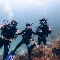 Scuba diving at Koh Tao