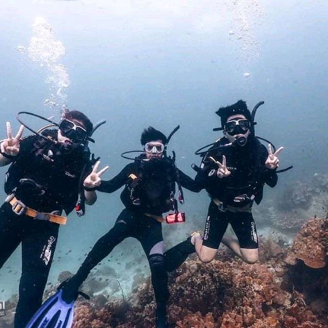Scuba diving at Koh Tao