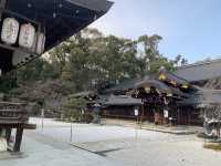 【京都観光】西陣にある「今宮神社」に参拝。