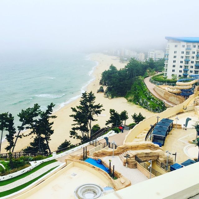 오션뷰가 완벽했던 삼척 쏠비치! #대명리조트 #쏠비치