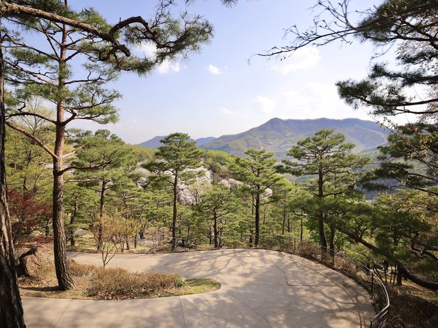 화담숲에서 만난 예쁜 봄 