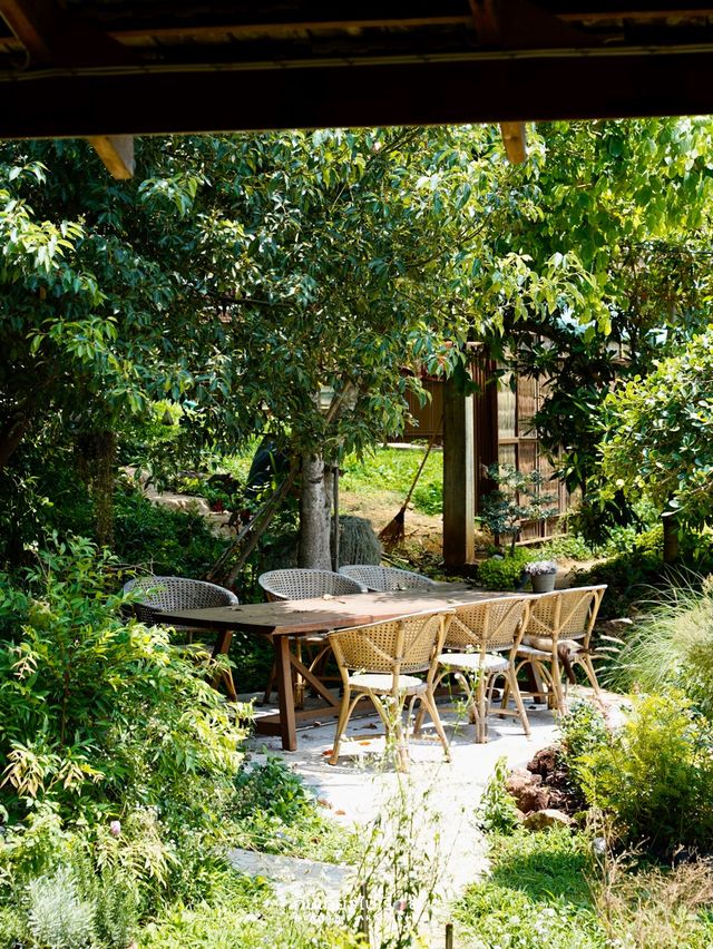 🍃🐶Mori Natural Farm ที่พัก&คาเฟ่บนภูเขาเชียงใหม่