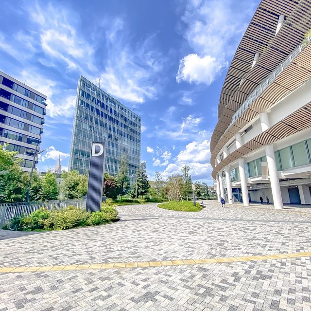 春の新国立競技場の広場