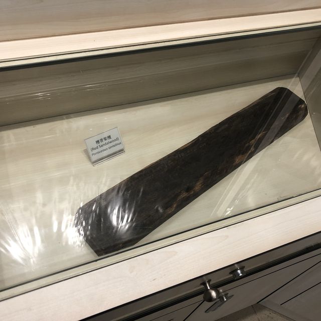 鳥類資料展覽館