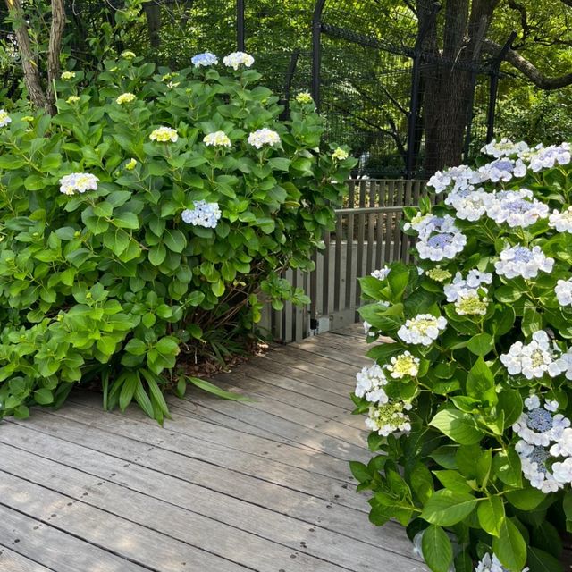 江坂公園めちゃくちゃ広すぎる😳⸜🌷︎⸝‍