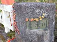 東京賞楓🍁好去處｜栗又之滝