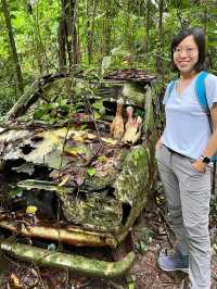 Searching for the Avatar Trees of Singapore