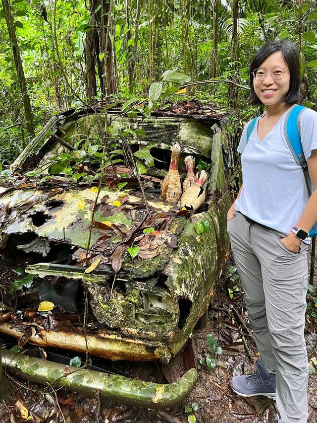 Searching for the Avatar Trees of Singapore