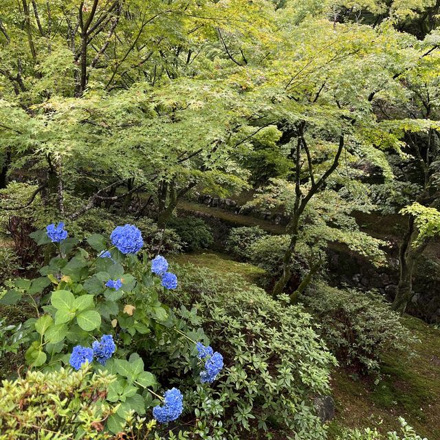 【京都】絵になる絶景！東福寺の通天橋