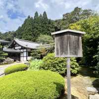 【京都】苔が美しい完全予約制のお寺
