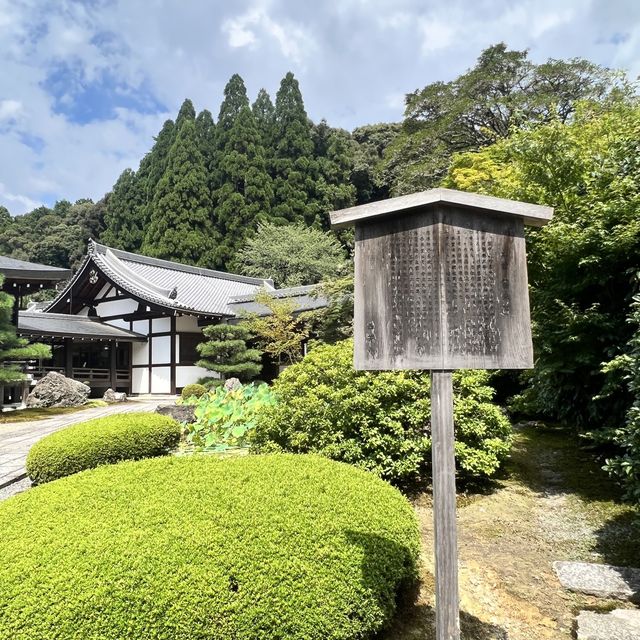 【京都】苔が美しい完全予約制のお寺