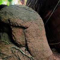 ถ้ำนาคี