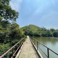 古洞水塘💕上水簡易行山路線🈴️🈴️新手輕鬆上路