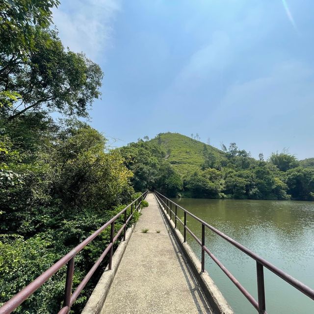 古洞水塘💕上水簡易行山路線🈴️🈴️新手輕鬆上路