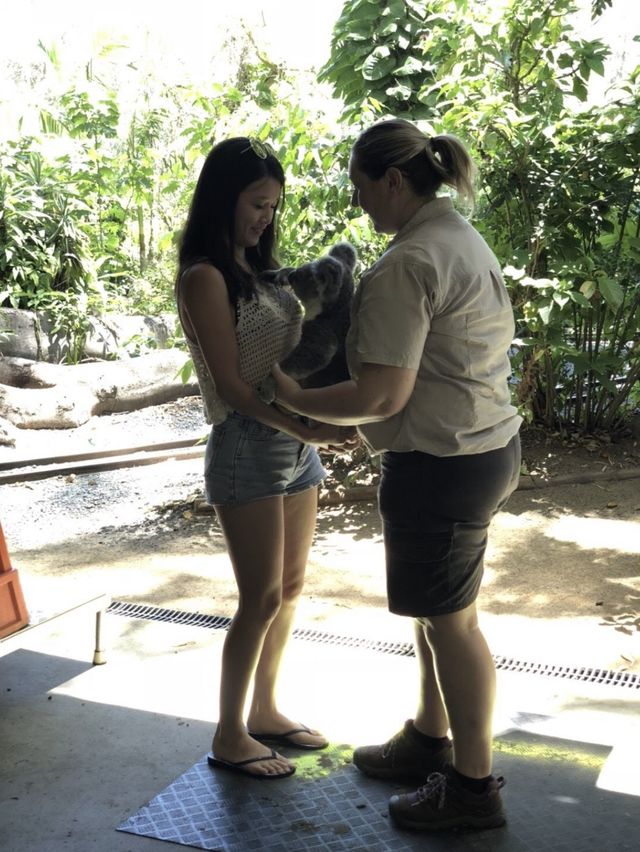 昆士蘭 Currumbin野生動物園🦘🦜🦥🐨😻😻