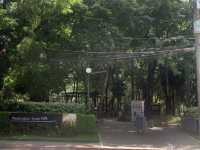 Nature Park in the Center of Makati