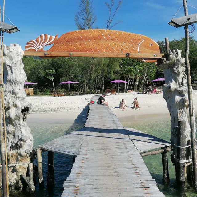 Spectacular beach littered with starfish….