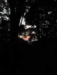 香港行山丨 360度睇妙高台大帽山南脊瞭望台