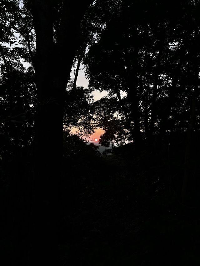 香港行山丨 360度睇妙高台大帽山南脊瞭望台